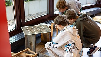 Kinder bauen eine Bienenbeute auf.
