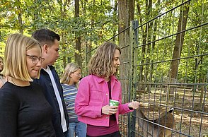 Wildpark Damwildgehege