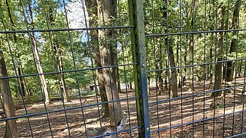 Wildpark Damwild
