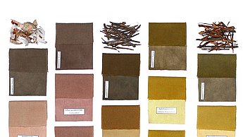 Färbe-Experimente mit Baumrinden von Samuel Letzgus.