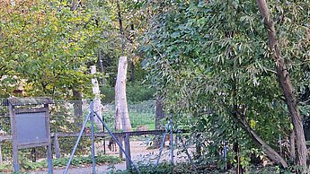 Wildpark Waschbär