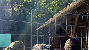 Kinder im Tierpark