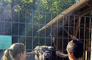 Kinder im Tierpark