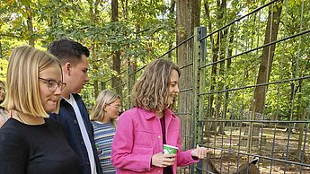 Wildpark Damwildgehege