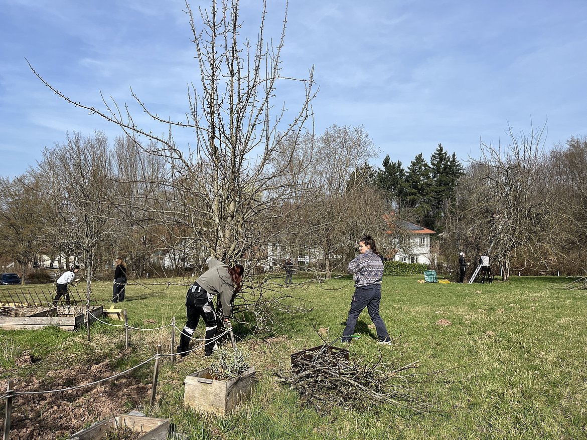 Studierende und Hochschulangehörige beim Baumschnittkurs