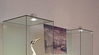 Tagung Medium Lehrmittel Forschungsprojekt Kupfer Ausstellung