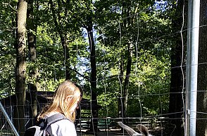 Kinder im Tierpark