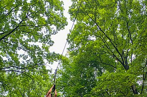 Ein Kind gleitet im Seilgarten an seinem Karabiner herunter