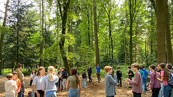 Kinder spielen im Waldklettergarten.