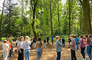 Kinder spielen im Waldklettergarten.