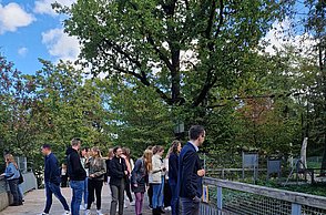 Wildpark Waschbärgehege