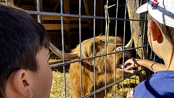 Kinder im Tierpark