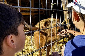 Kinder im Tierpark